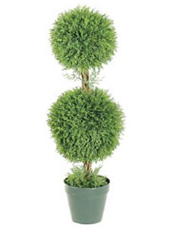 Double Ball Cypress Topiary