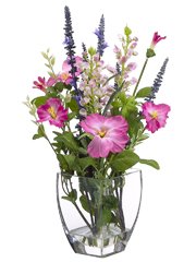 Lavender Morning Glory