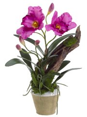 Silk Cattleya Orchid
