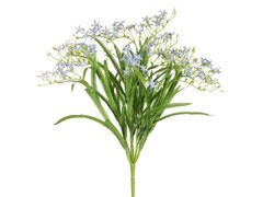 Mini Starflower