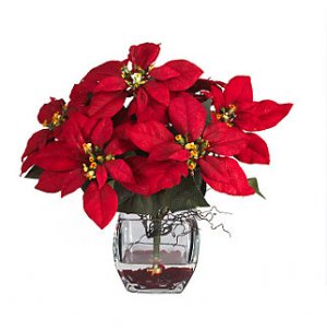 Poinsettia w/Cube Liquid Illusion
