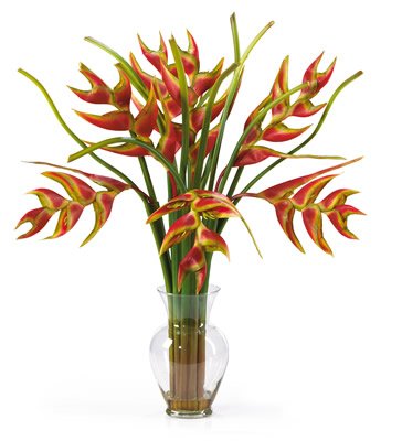 Heliconia Liquid Illusion