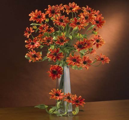 28.5" Cosmo Stem (Set of 12) - Orange