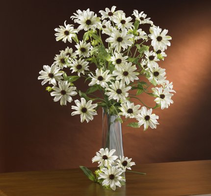 28.5" Cosmo Stem (Set of 12) - White