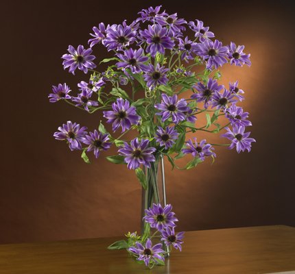 28.5" Cosmo Stem (Set of 12) - Purple