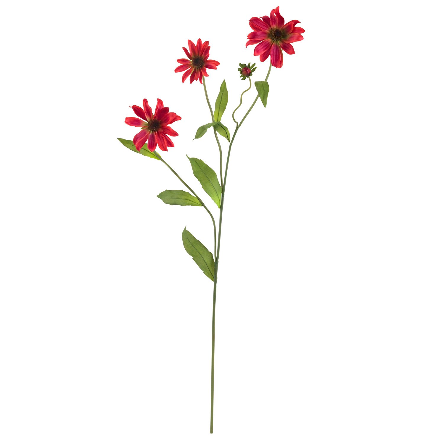 28.5" Cosmo Stem (Set of 12) - Red