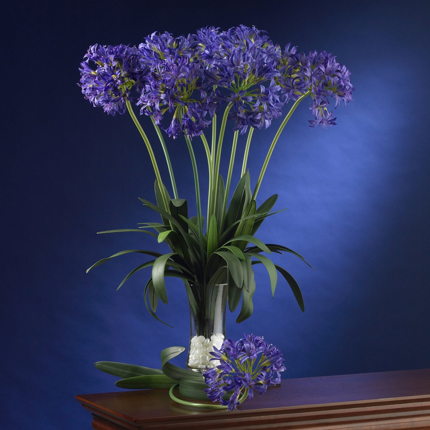 29" African Lily Stem (Set of 12) - Purple