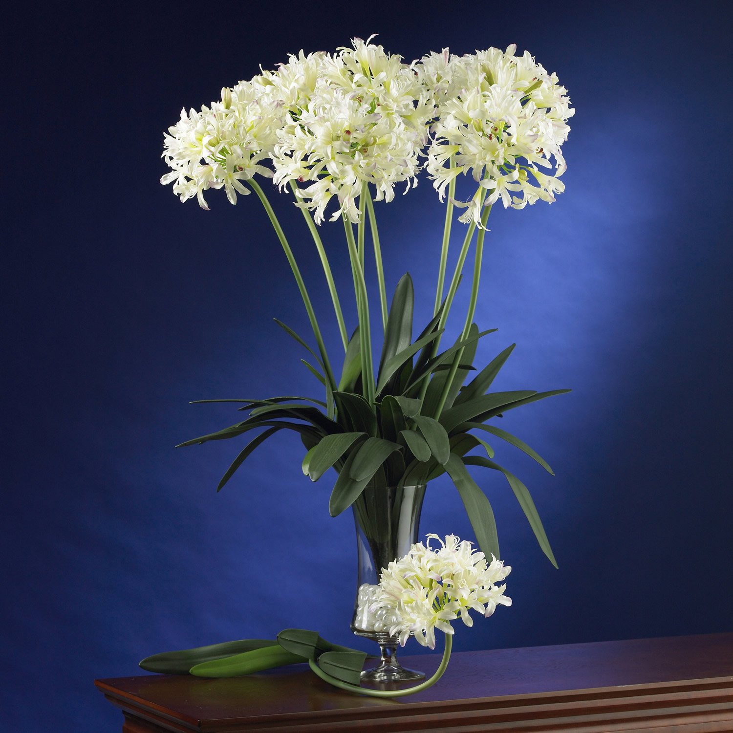 29" African Lily Stem (Set of 12) - White