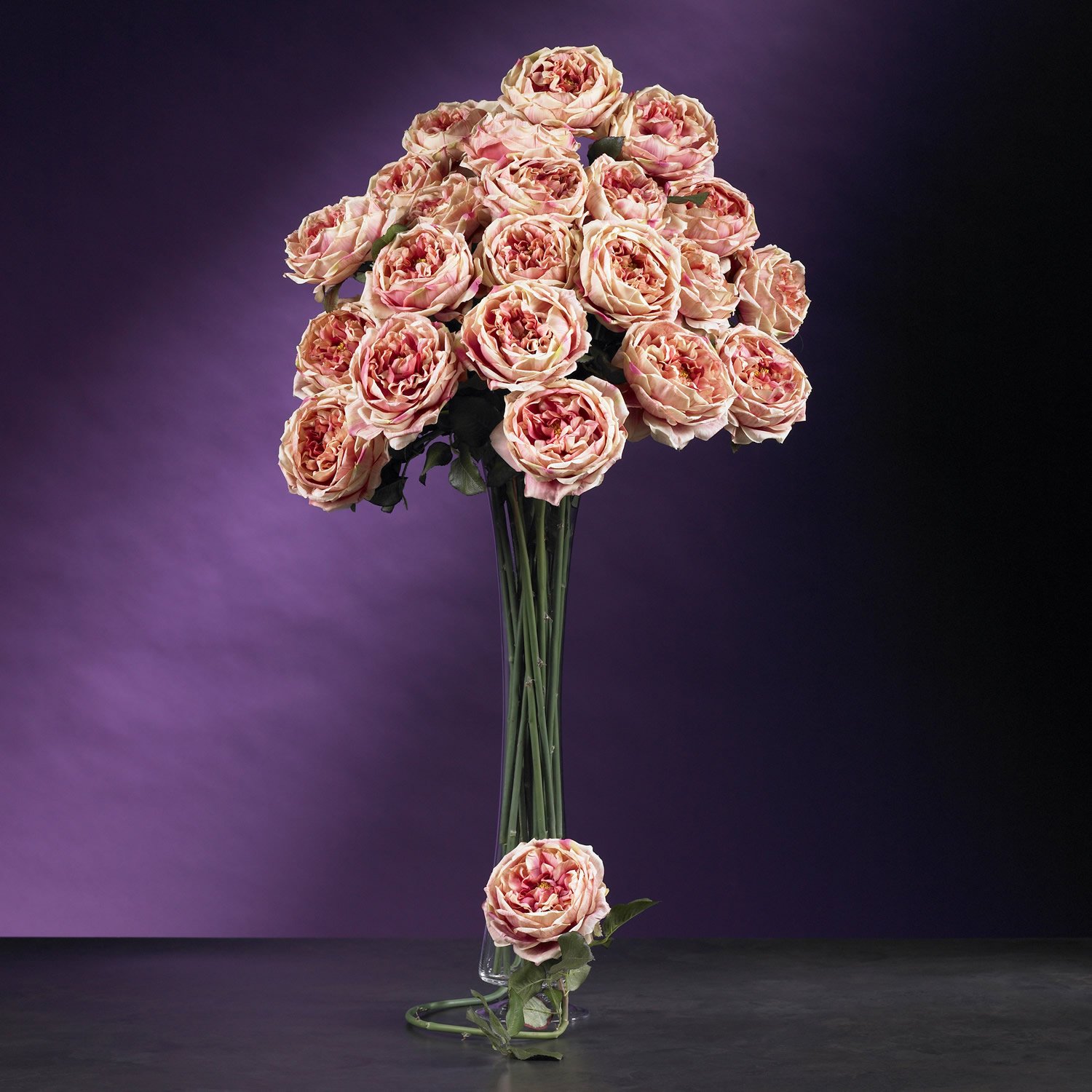 31" Large Rose Stem (Set of 12) - Pink