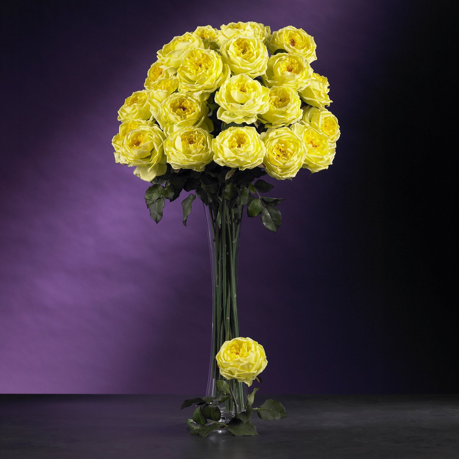 31" Large Rose Stem (Set of 12) - Yellow