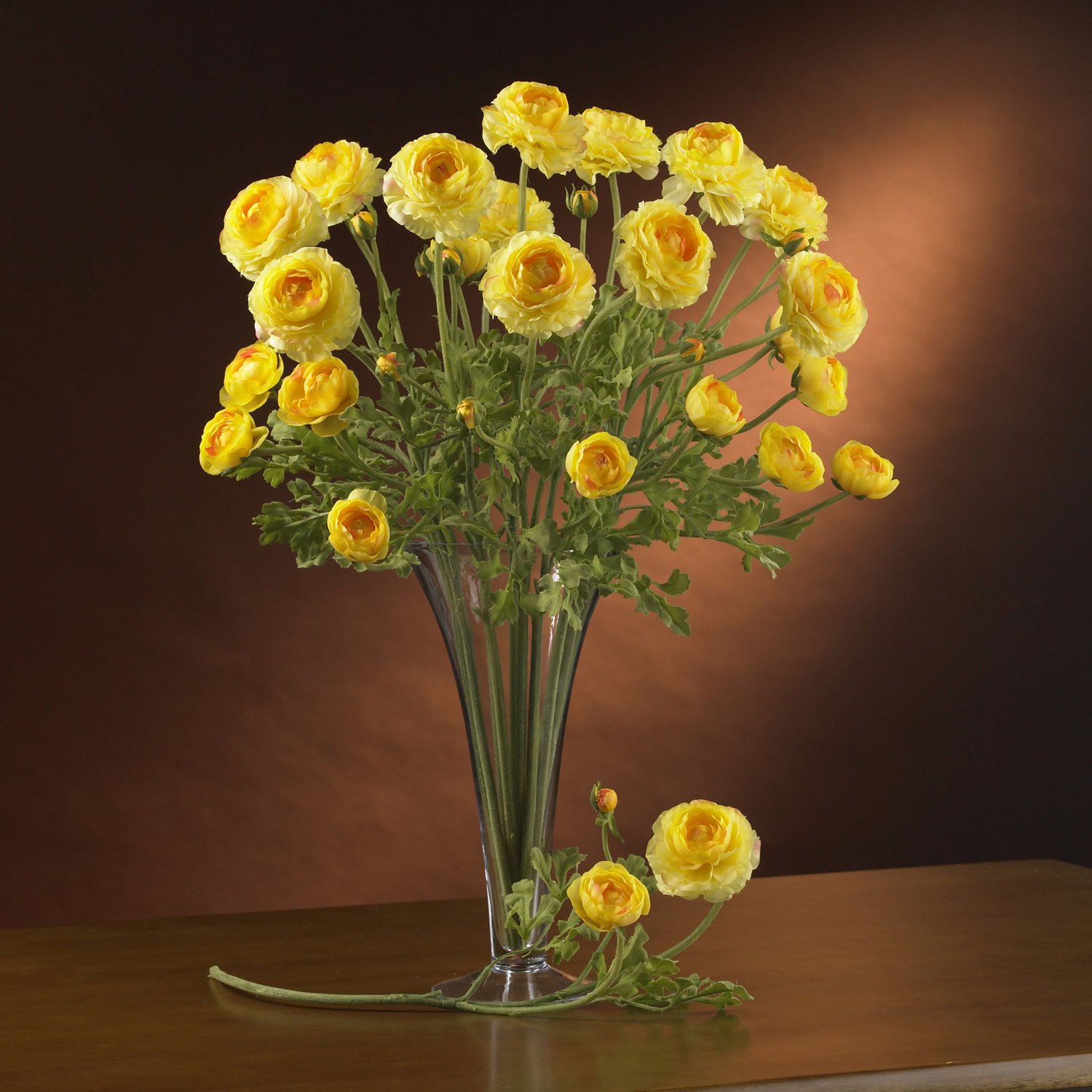 Heliconia Liquid Illusion - Yellow
