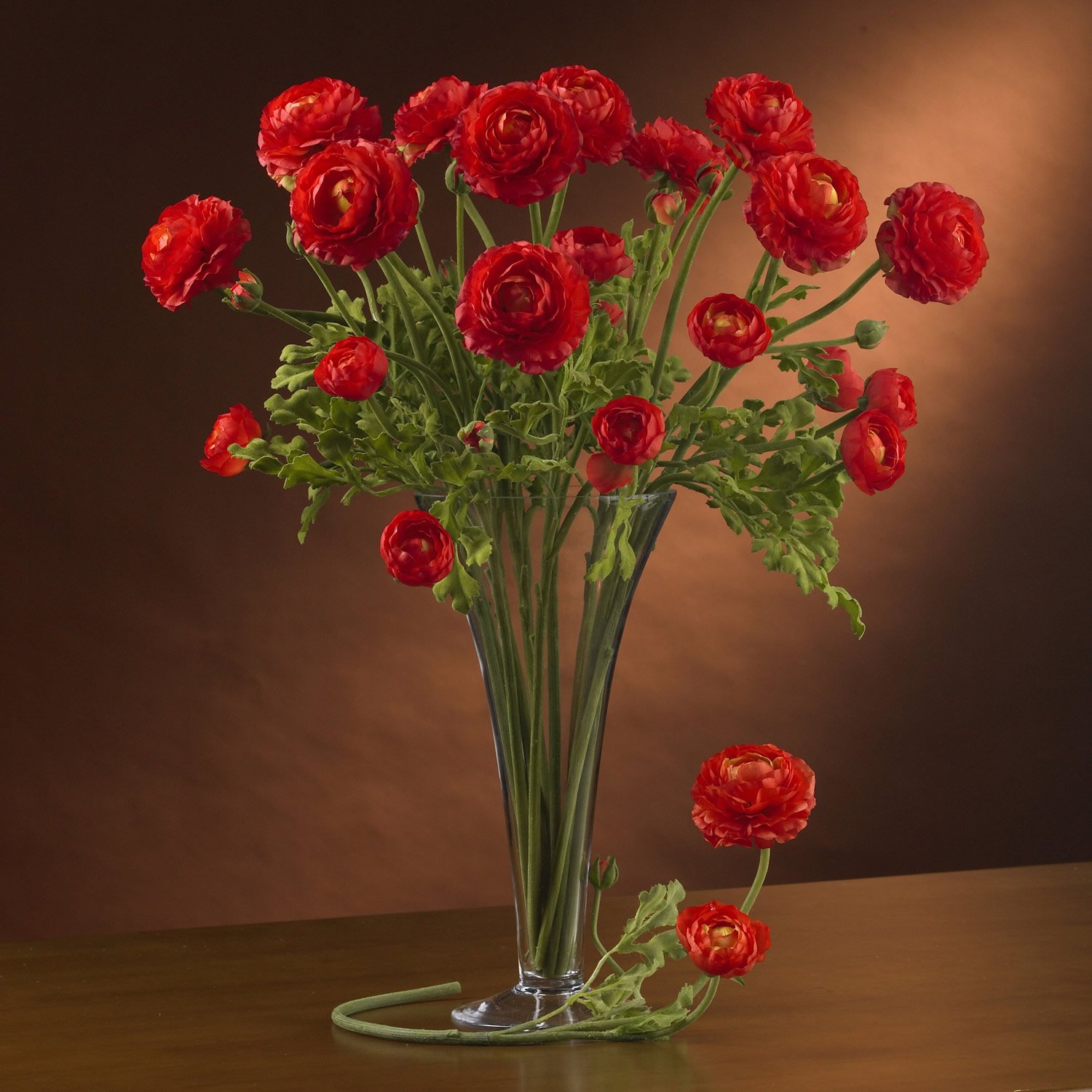 Heliconia Liquid Illusion - Red