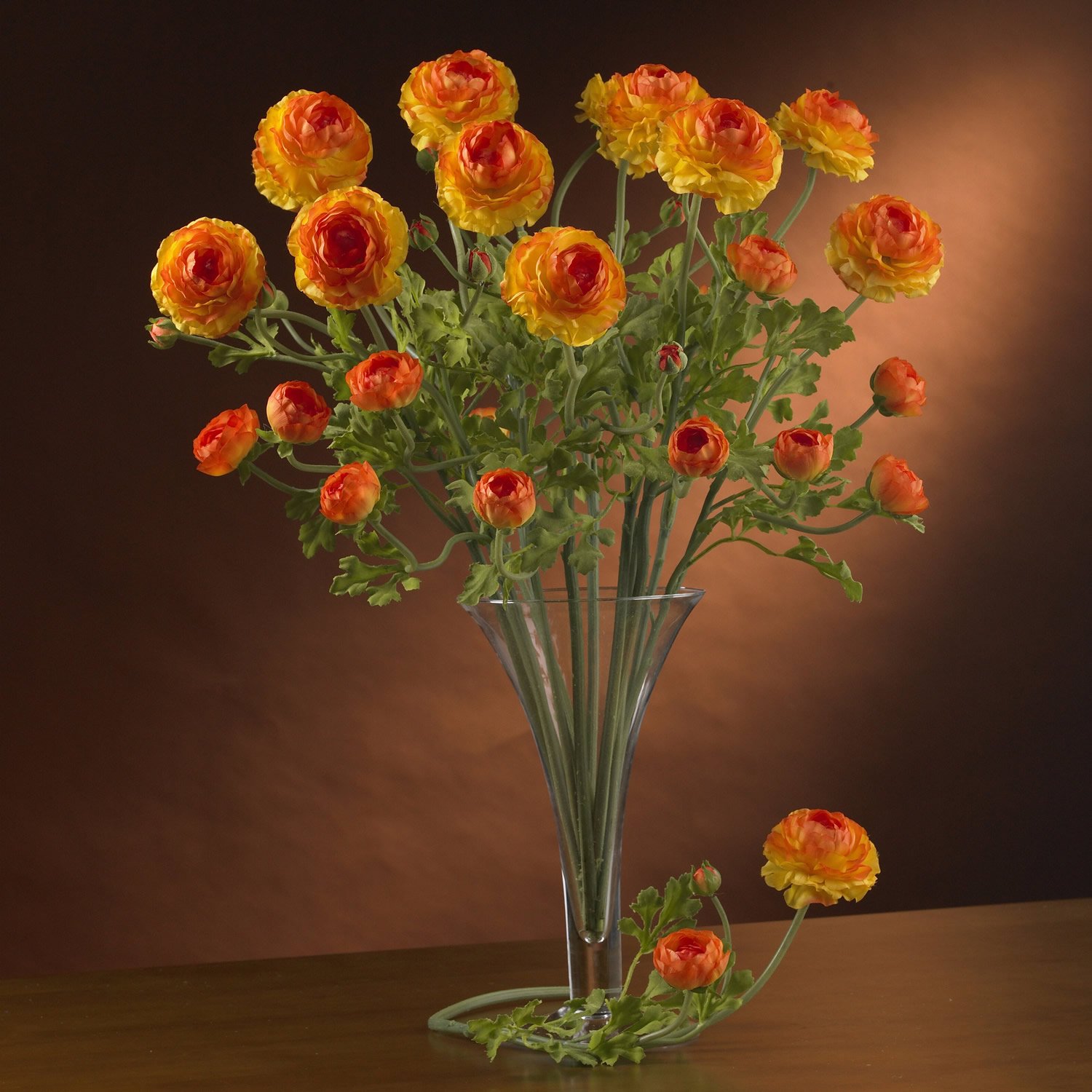 Heliconia Liquid Illusion - Orange