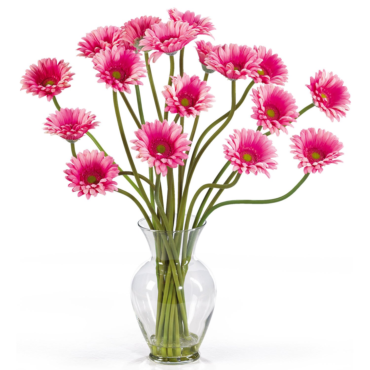 Gerber Daisy Liquid Illusion - Pink