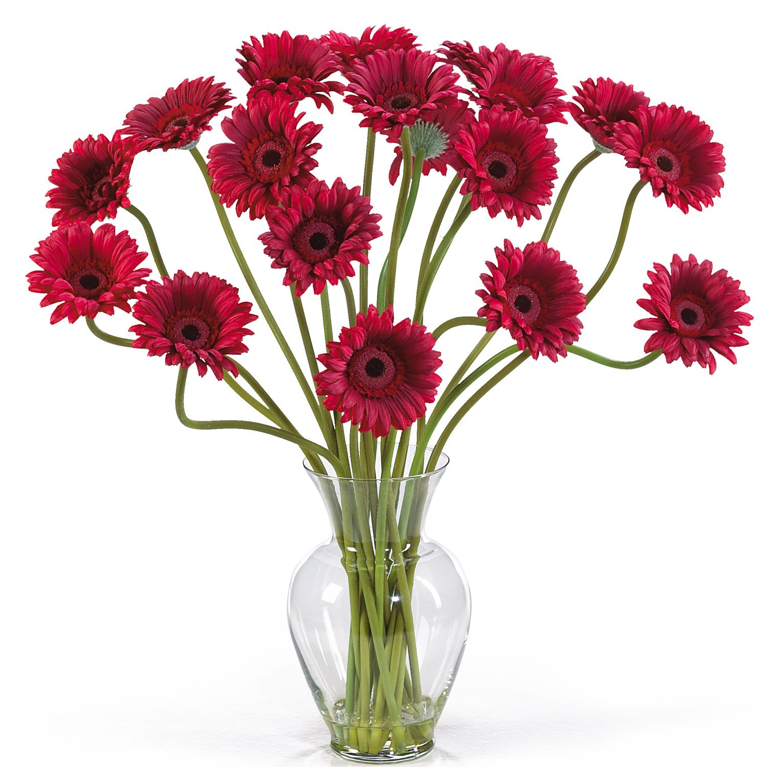 Gerber Daisy Liquid Illusion - Red