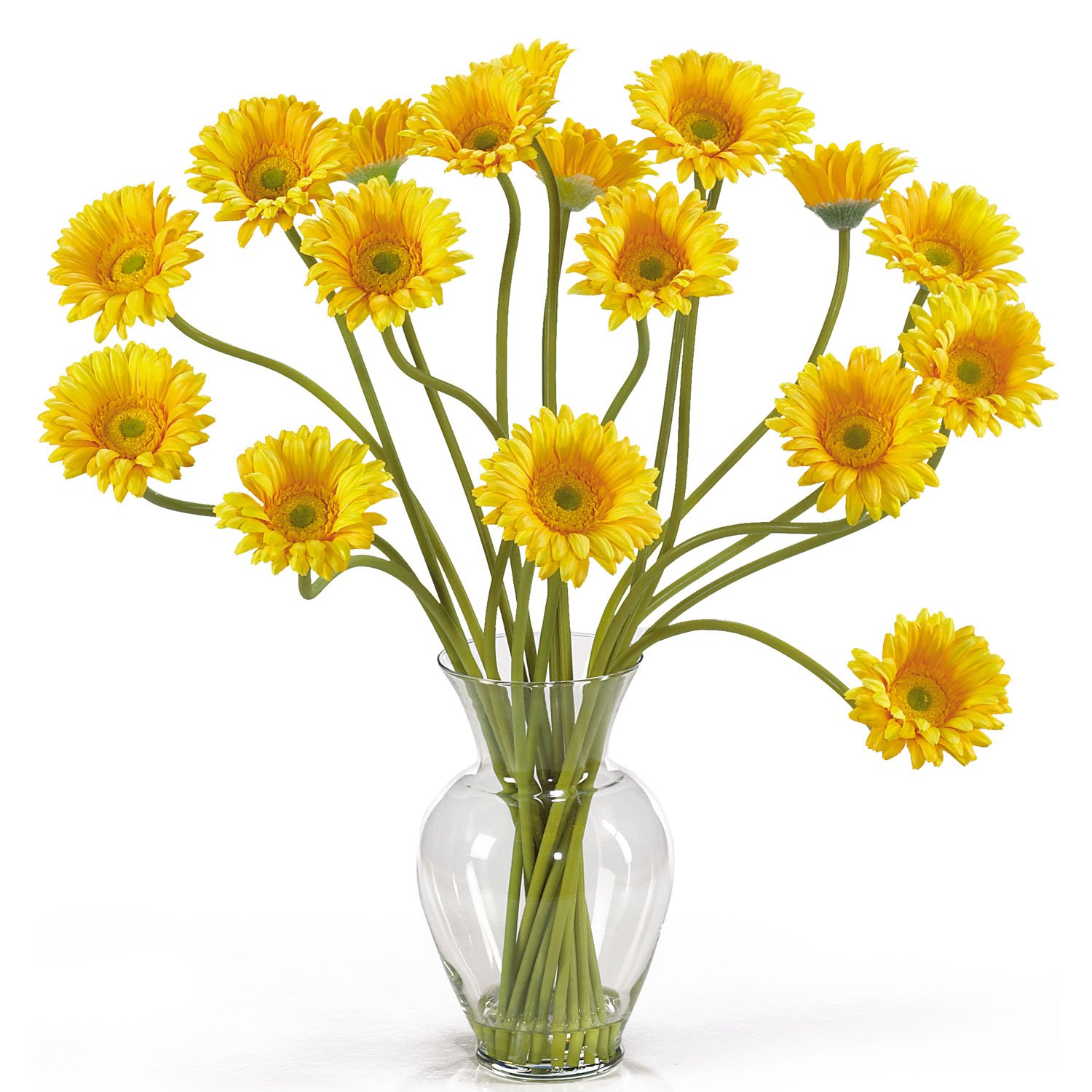 Gerber Daisy Liquid Illusion - Yellow