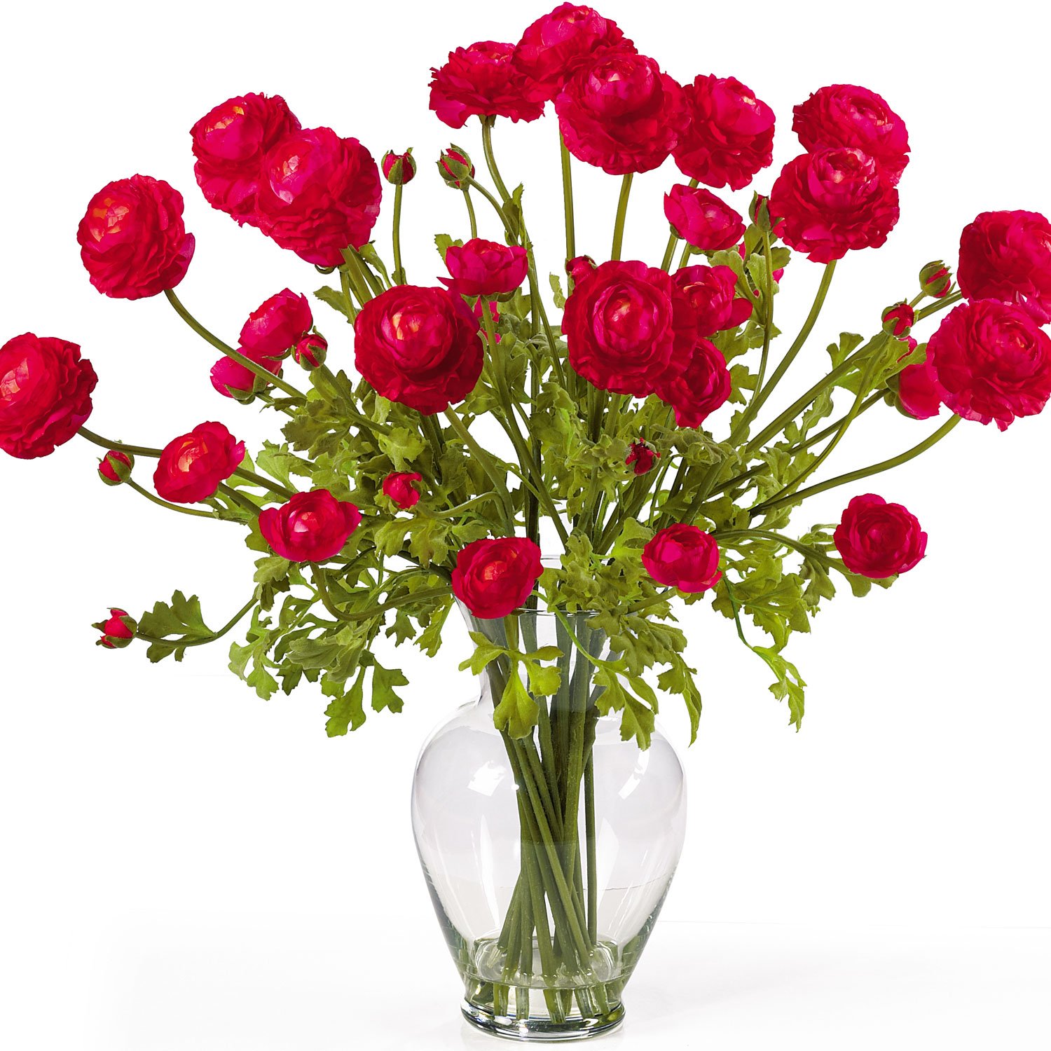 Ranunculus Liquid Illusion - Red