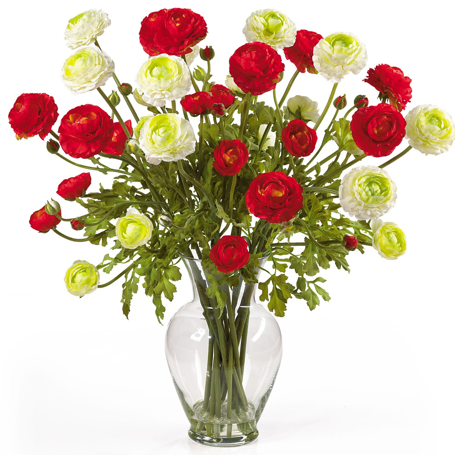 Ranunculus Liquid Illusion - Red/White