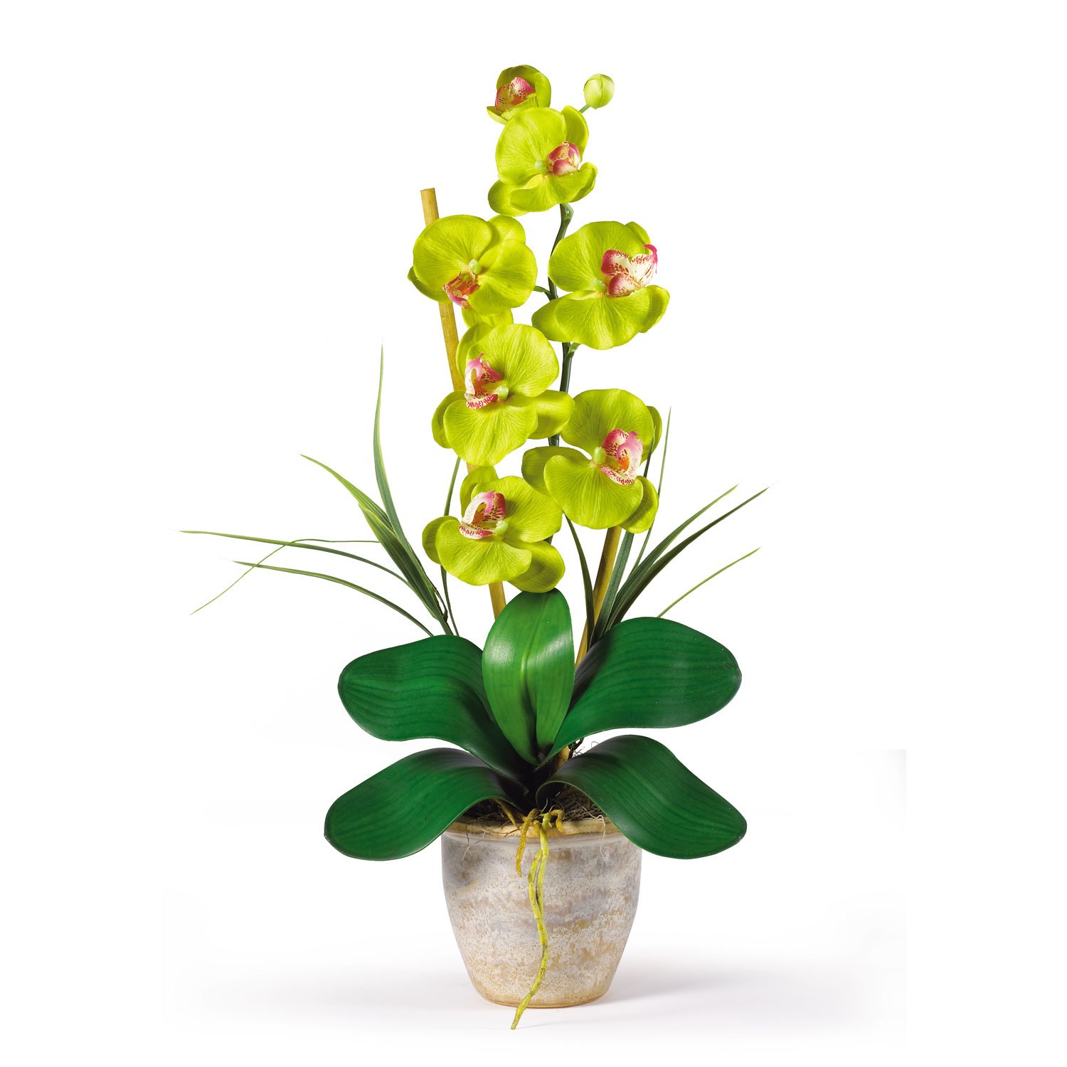 Single Stem Phalaenopsis Orchid Silk Flower Arrangement Green