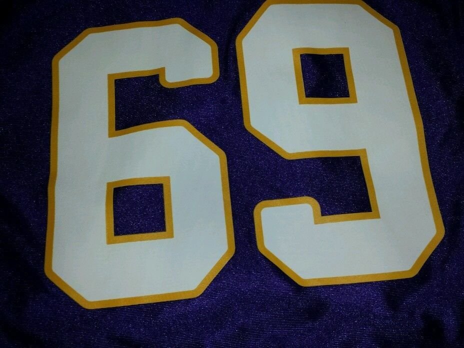 Jared Allen #69 Purple Minnesota Vikings L, Regular Season "SAVE NOW"