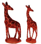 Giraffes