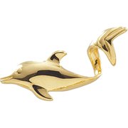 Dolphin Pendant Slide