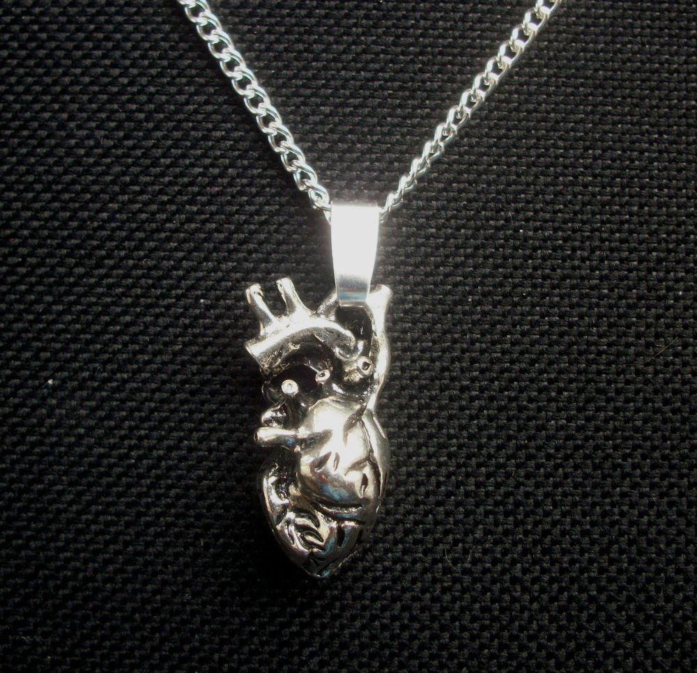 Heart Organ Anatomy Silver Tone Pendant Necklace 18 inch chain