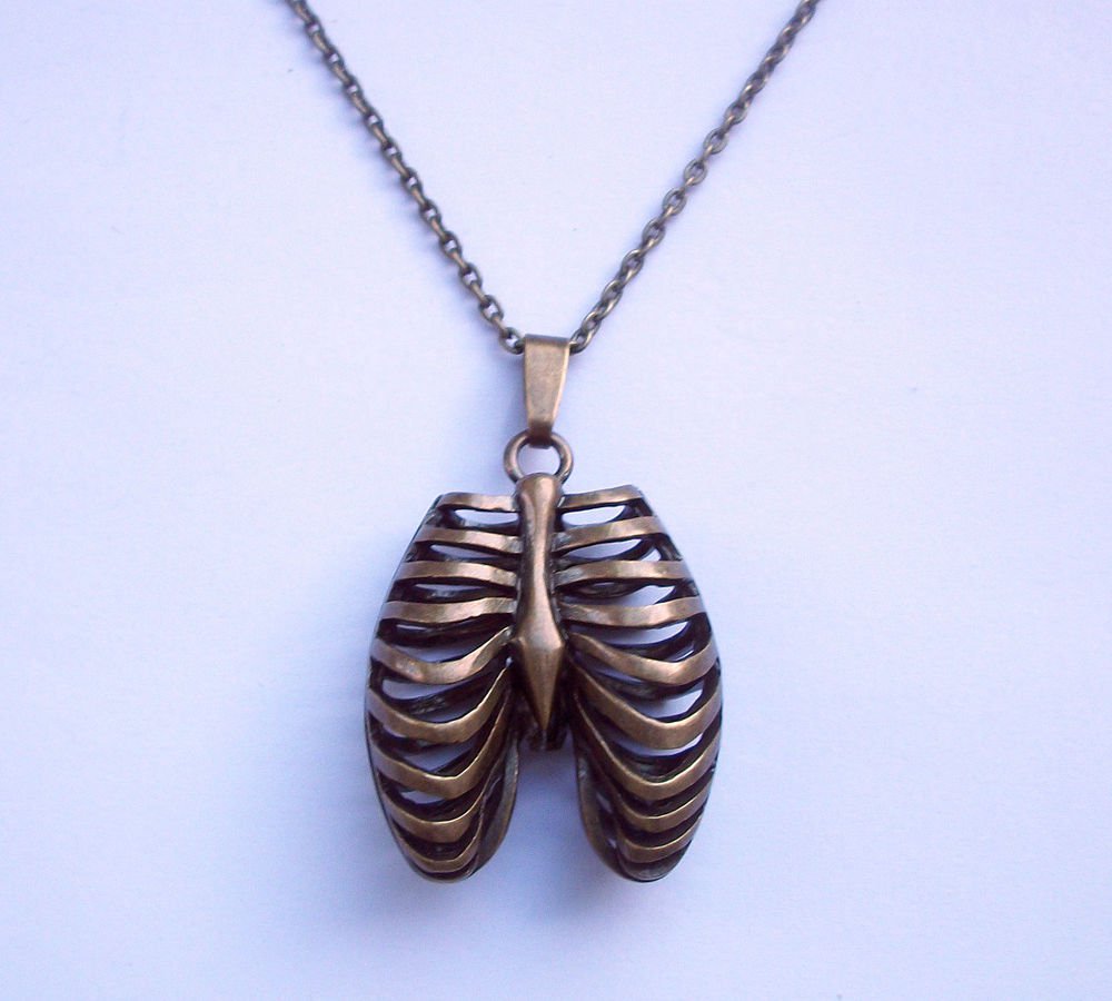 Rib Cage Anatomy Gothic Pendant Necklace in Antiqued Bronze Tone metal.