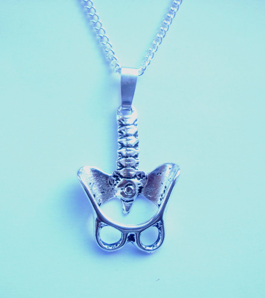 Pelvis & Spine Body Parts Pendant Necklace 18 inch chain