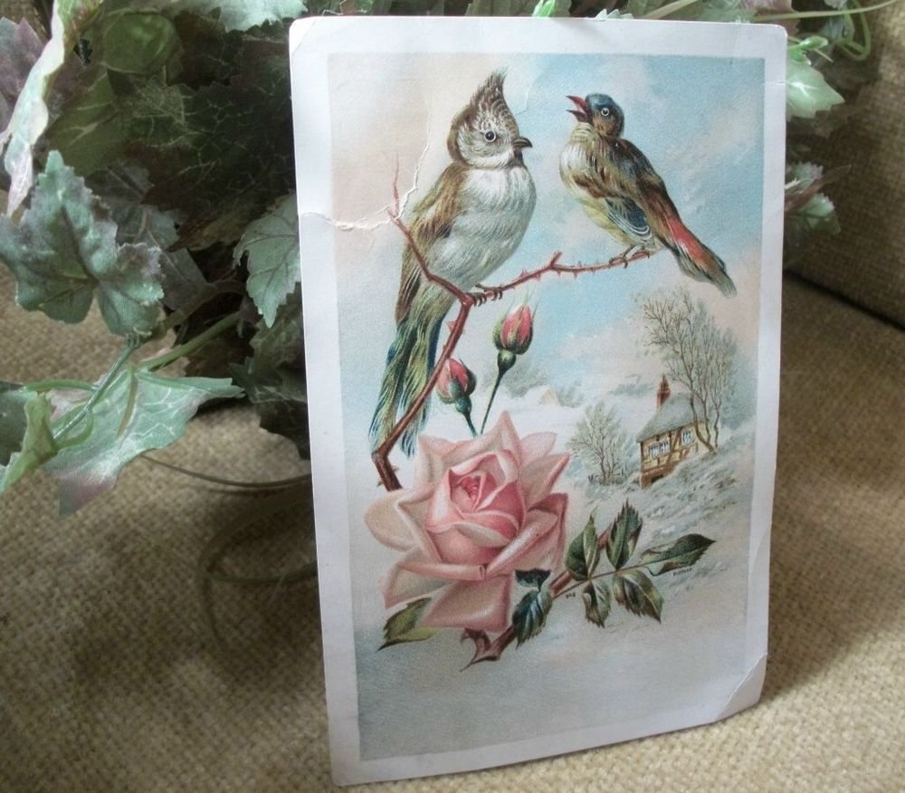Lion Coffee Woolson Spice Co. Antique Picture Card 1890's Advertising Ephemera