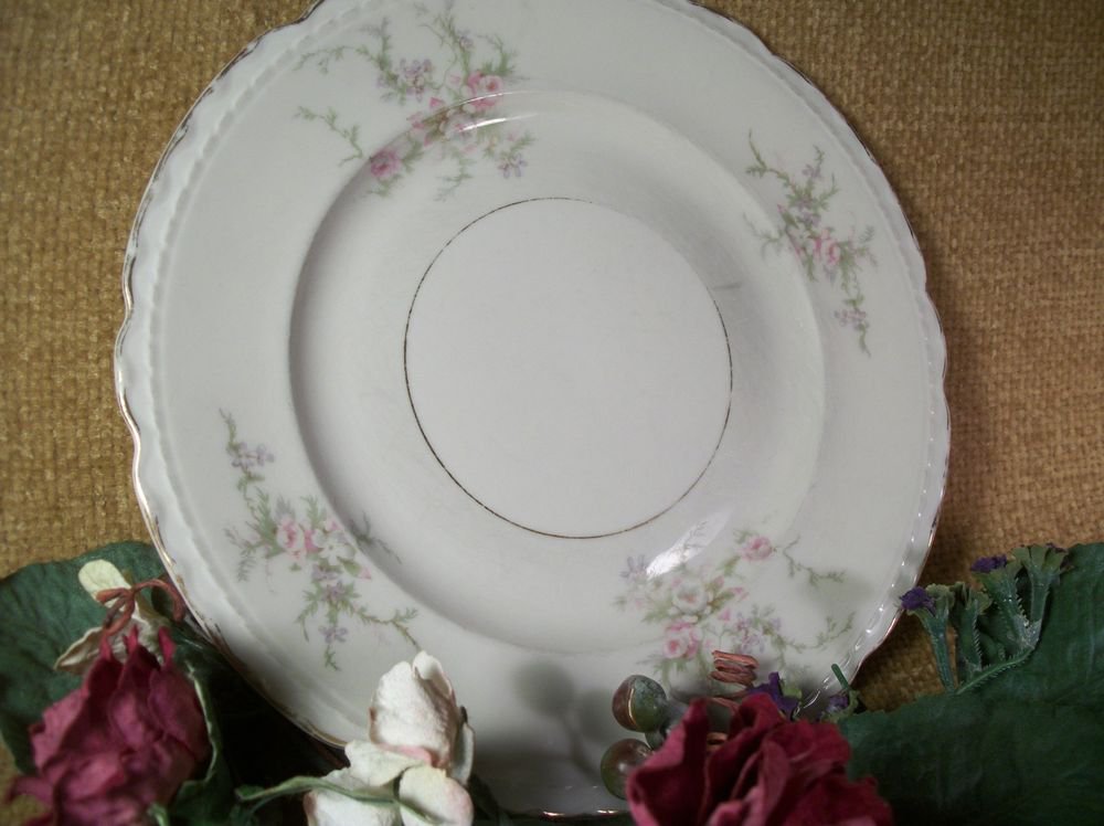 Vintage Cottage Chic Tableware Old Rose Salad or Dessert Plate Arcadian China