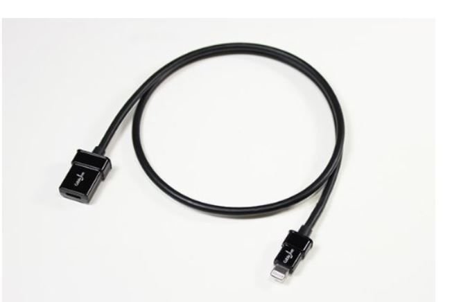 Lightning Extension Cable (2 foot ) for iPhone,6, 6 Plus 5 ,5S Pass Video, Data