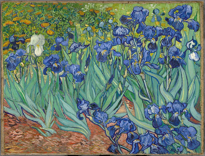 Irises-Oil on canvas paintings-Vincent Van Gogh-reproduction