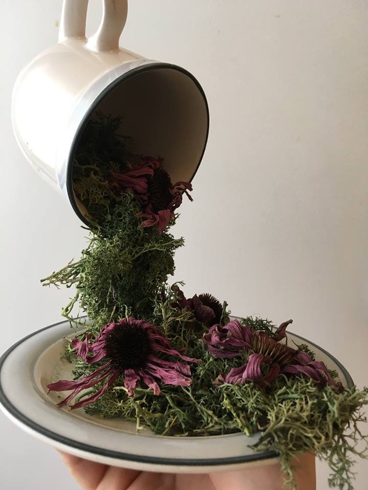 Flower Power