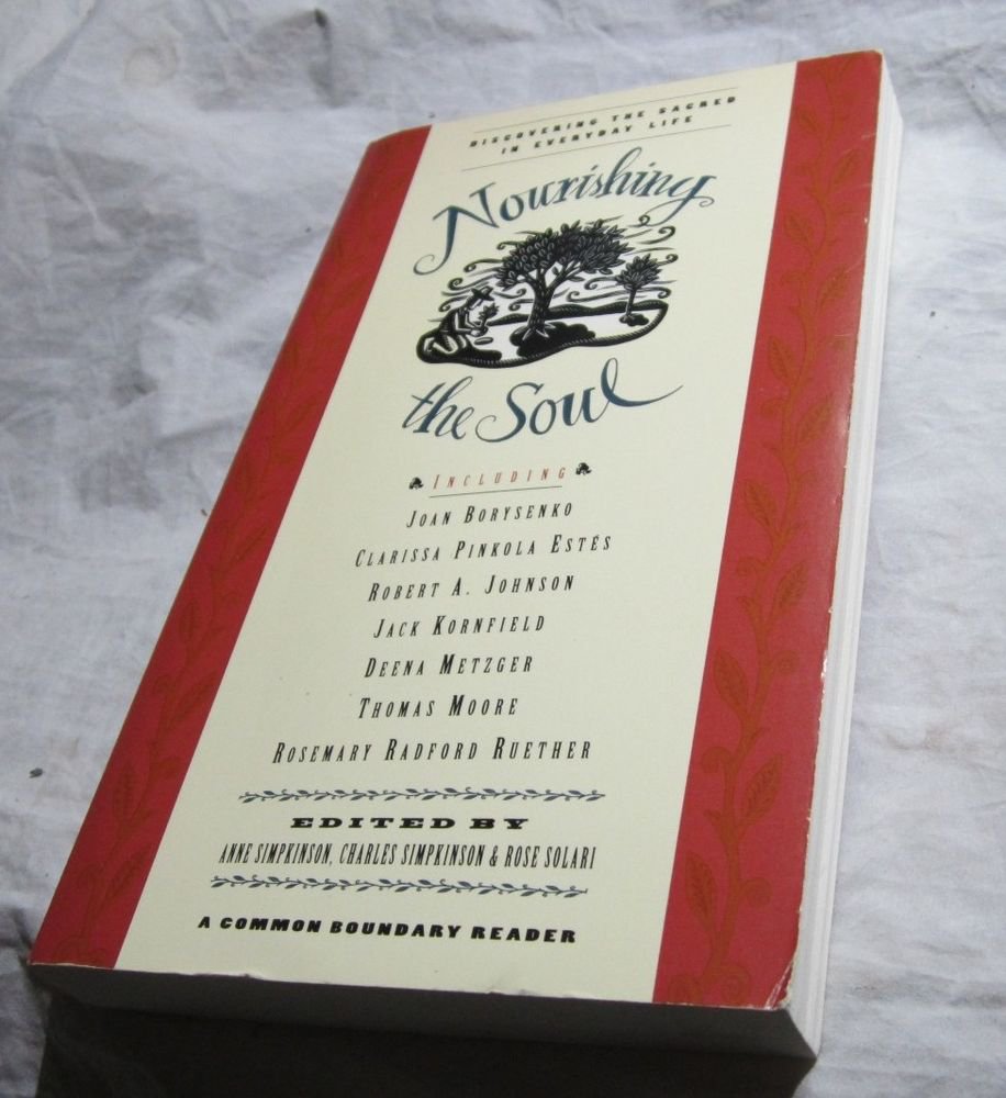 Nourishing the Soul: Discovering the Sacred in Everyday Life BOOK~self-help