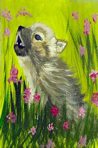 Baby Wolf