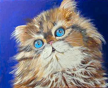 Long Hair Kitten, ready to hang