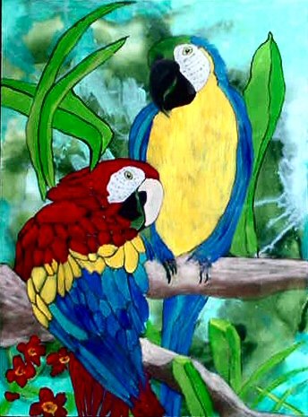 Macaw Parrots, 20 x 24