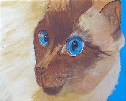 Siamese Cat Portrait, ready to hang