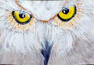 ACEO Owl Eyes