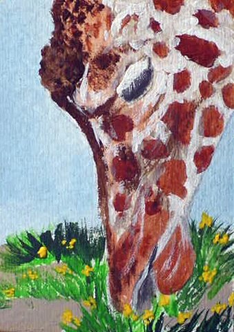 ACEO Giraffe Snack