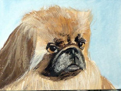 ACEO Pekingese Dog