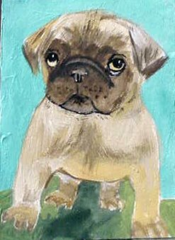 ACEO Pug Puppy
