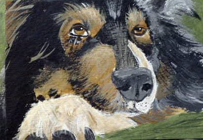 ACEO Sleepy Australian Shepherd