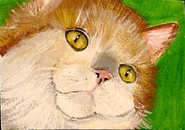 ACEO "Chester" Orange Cat