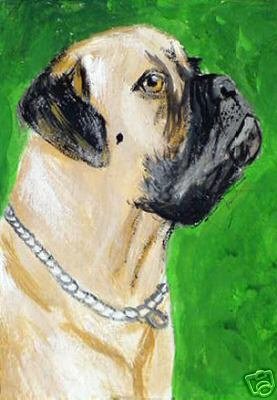ACEO Mastiff Dog