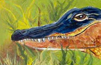 ACEO Gator