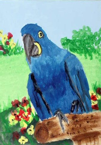ACEO Hyacinth Garden