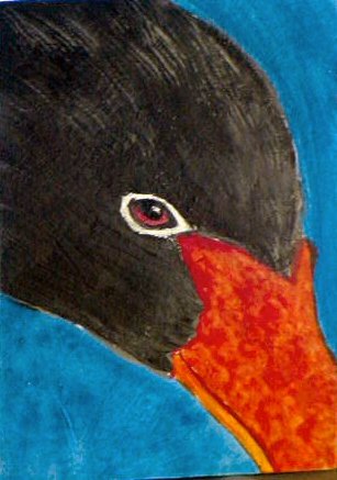 ACEO Black Swan Face