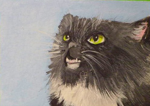 ACEO Baddist Cat